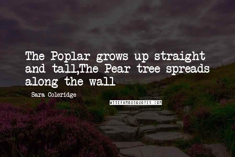 Sara Coleridge Quotes: The Poplar grows up straight and tall,The Pear-tree spreads along the wall