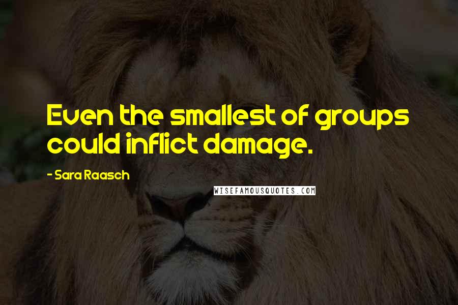 Sara Raasch Quotes: Even the smallest of groups could inflict damage.