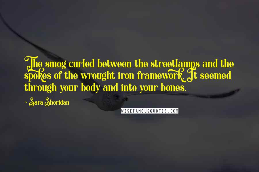 Sara Sheridan Quotes: The smog curled between the streetlamps and the spokes of the wrought iron framework. It seemed through your body and into your bones.