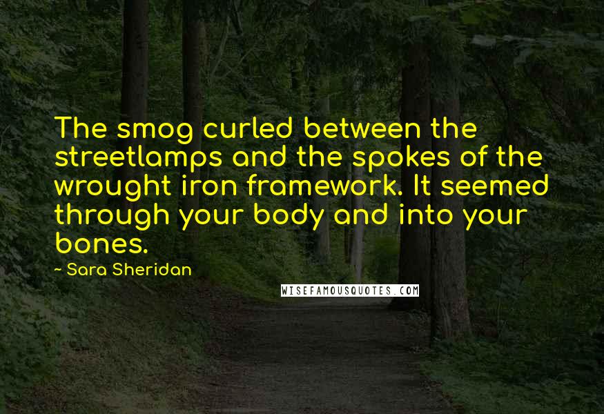 Sara Sheridan Quotes: The smog curled between the streetlamps and the spokes of the wrought iron framework. It seemed through your body and into your bones.