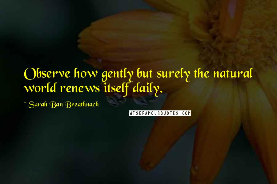 Sarah Ban Breathnach Quotes: Observe how gently but surely the natural world renews itself daily.