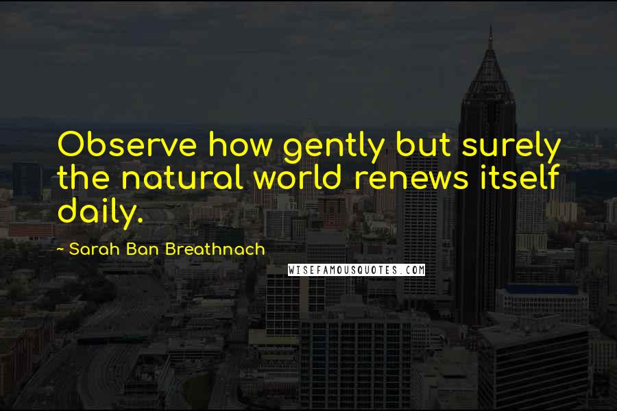 Sarah Ban Breathnach Quotes: Observe how gently but surely the natural world renews itself daily.