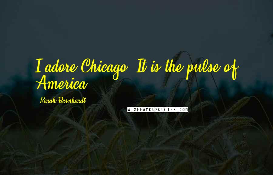 Sarah Bernhardt Quotes: I adore Chicago. It is the pulse of America.