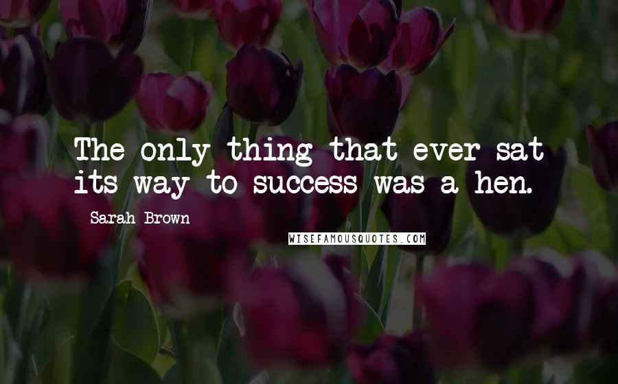 Sarah Brown Quotes: The only thing that ever sat its way to success was a hen.