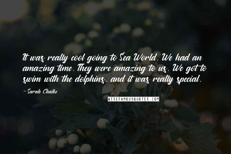 Sarah Chalke Quotes: It was really cool going to Sea World. We had an amazing time. They were amazing to us. We got to swim with the dolphins, and it was really special.