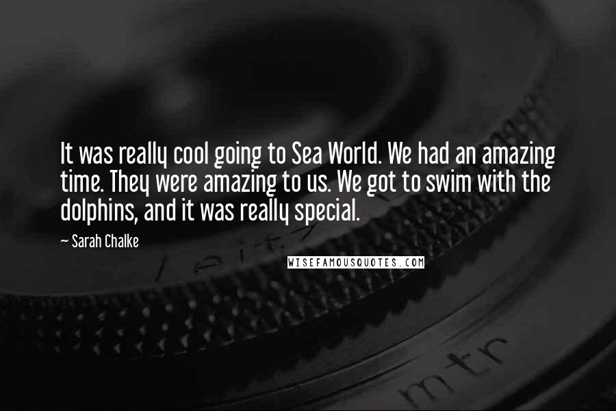 Sarah Chalke Quotes: It was really cool going to Sea World. We had an amazing time. They were amazing to us. We got to swim with the dolphins, and it was really special.