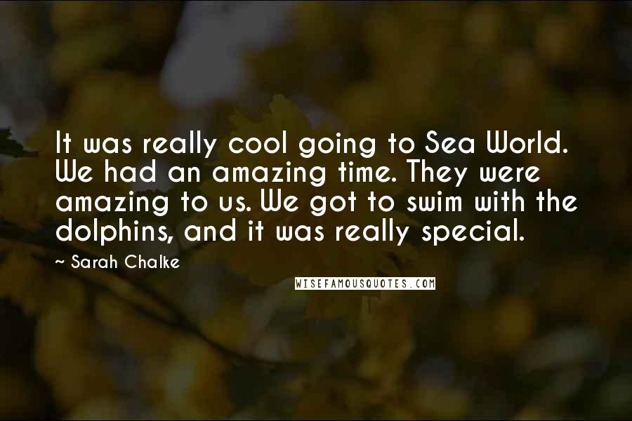 Sarah Chalke Quotes: It was really cool going to Sea World. We had an amazing time. They were amazing to us. We got to swim with the dolphins, and it was really special.