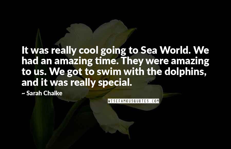 Sarah Chalke Quotes: It was really cool going to Sea World. We had an amazing time. They were amazing to us. We got to swim with the dolphins, and it was really special.