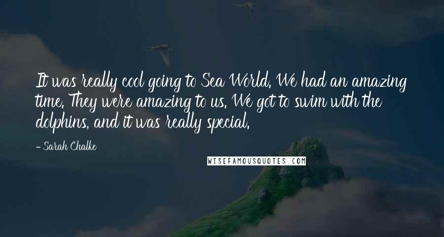 Sarah Chalke Quotes: It was really cool going to Sea World. We had an amazing time. They were amazing to us. We got to swim with the dolphins, and it was really special.