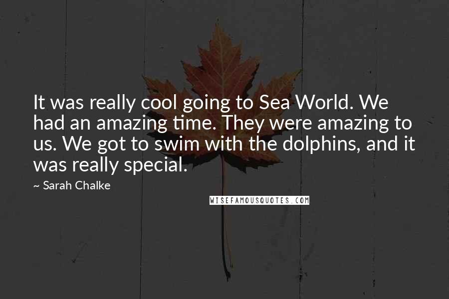 Sarah Chalke Quotes: It was really cool going to Sea World. We had an amazing time. They were amazing to us. We got to swim with the dolphins, and it was really special.