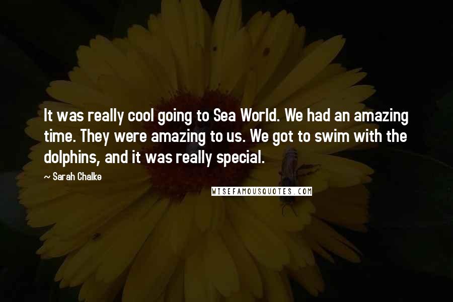 Sarah Chalke Quotes: It was really cool going to Sea World. We had an amazing time. They were amazing to us. We got to swim with the dolphins, and it was really special.