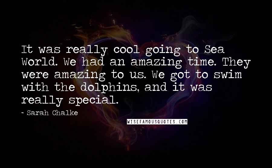 Sarah Chalke Quotes: It was really cool going to Sea World. We had an amazing time. They were amazing to us. We got to swim with the dolphins, and it was really special.