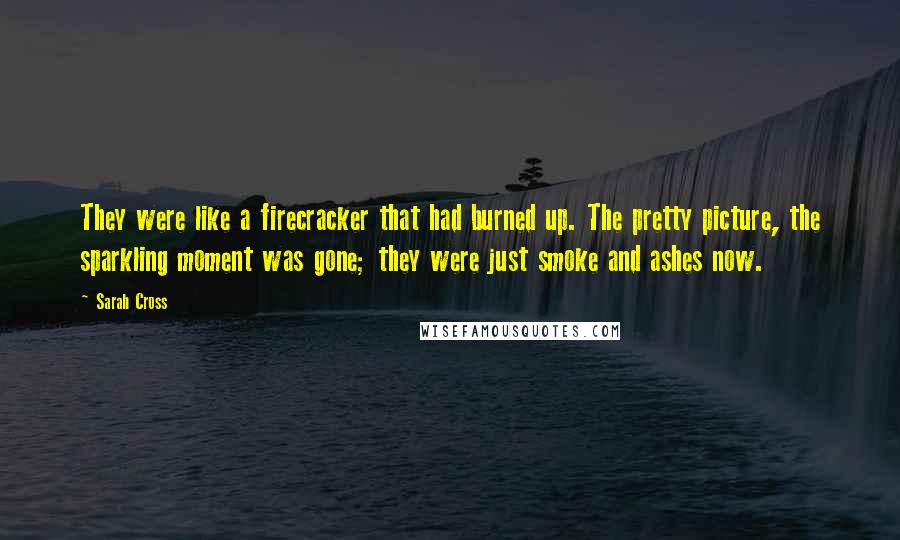 Sarah Cross Quotes: They were like a firecracker that had burned up. The pretty picture, the sparkling moment was gone; they were just smoke and ashes now.