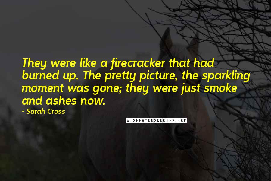 Sarah Cross Quotes: They were like a firecracker that had burned up. The pretty picture, the sparkling moment was gone; they were just smoke and ashes now.