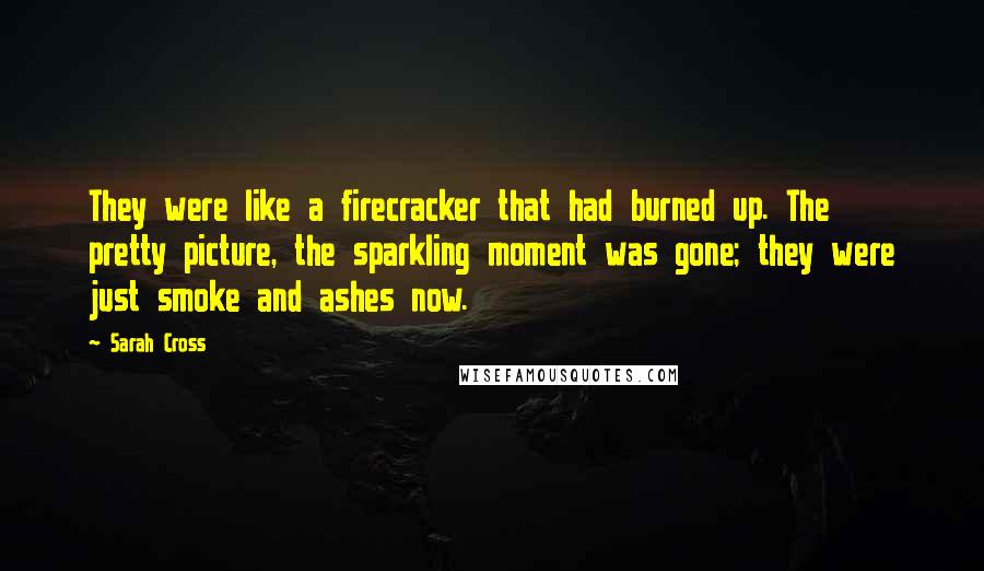 Sarah Cross Quotes: They were like a firecracker that had burned up. The pretty picture, the sparkling moment was gone; they were just smoke and ashes now.