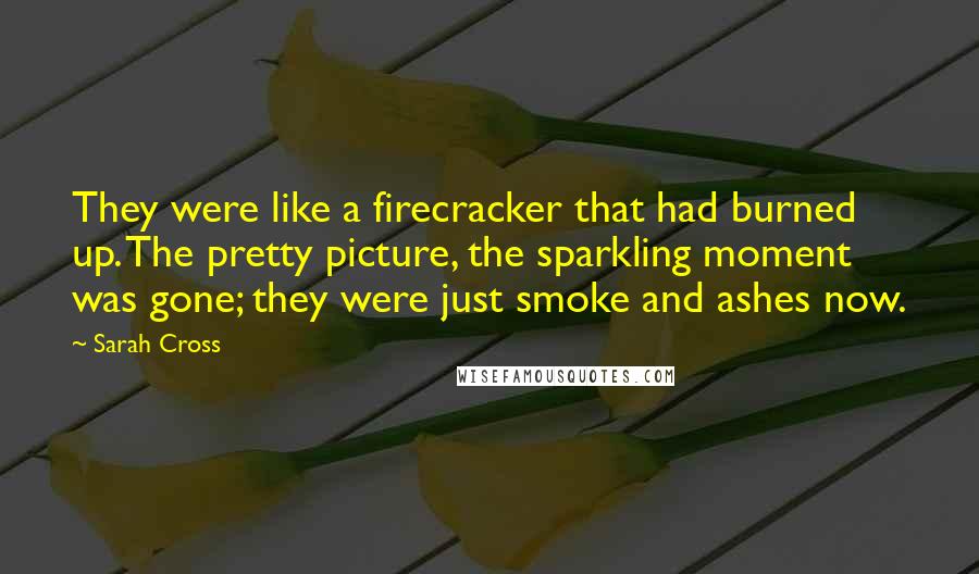 Sarah Cross Quotes: They were like a firecracker that had burned up. The pretty picture, the sparkling moment was gone; they were just smoke and ashes now.