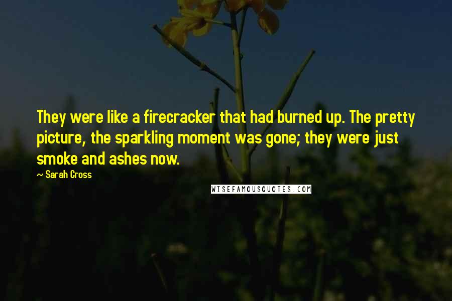 Sarah Cross Quotes: They were like a firecracker that had burned up. The pretty picture, the sparkling moment was gone; they were just smoke and ashes now.