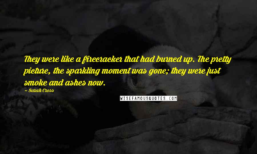 Sarah Cross Quotes: They were like a firecracker that had burned up. The pretty picture, the sparkling moment was gone; they were just smoke and ashes now.