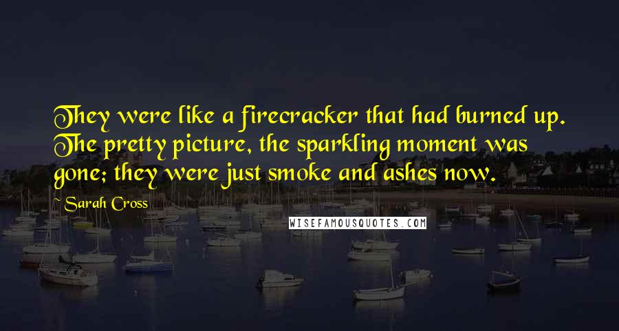 Sarah Cross Quotes: They were like a firecracker that had burned up. The pretty picture, the sparkling moment was gone; they were just smoke and ashes now.