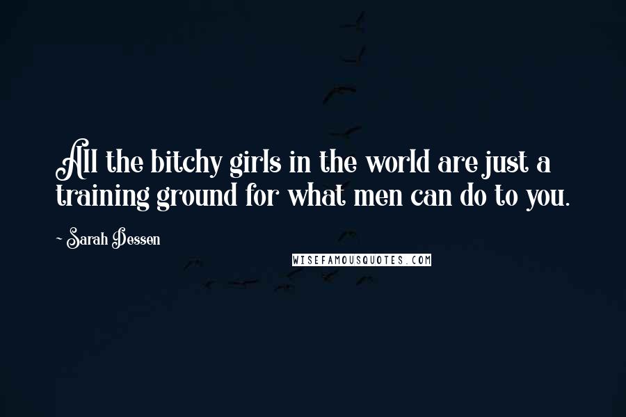 Sarah Dessen Quotes: All the bitchy girls in the world are just a training ground for what men can do to you.