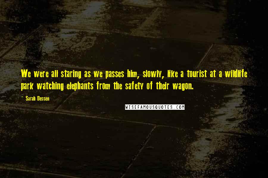 Sarah Dessen Quotes: We were all staring as we passes him, slowly, like a tourist at a wildlife park watching elephants from the safety of their wagon.
