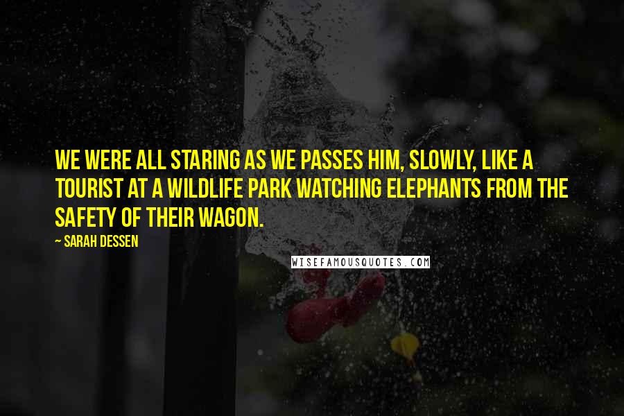 Sarah Dessen Quotes: We were all staring as we passes him, slowly, like a tourist at a wildlife park watching elephants from the safety of their wagon.