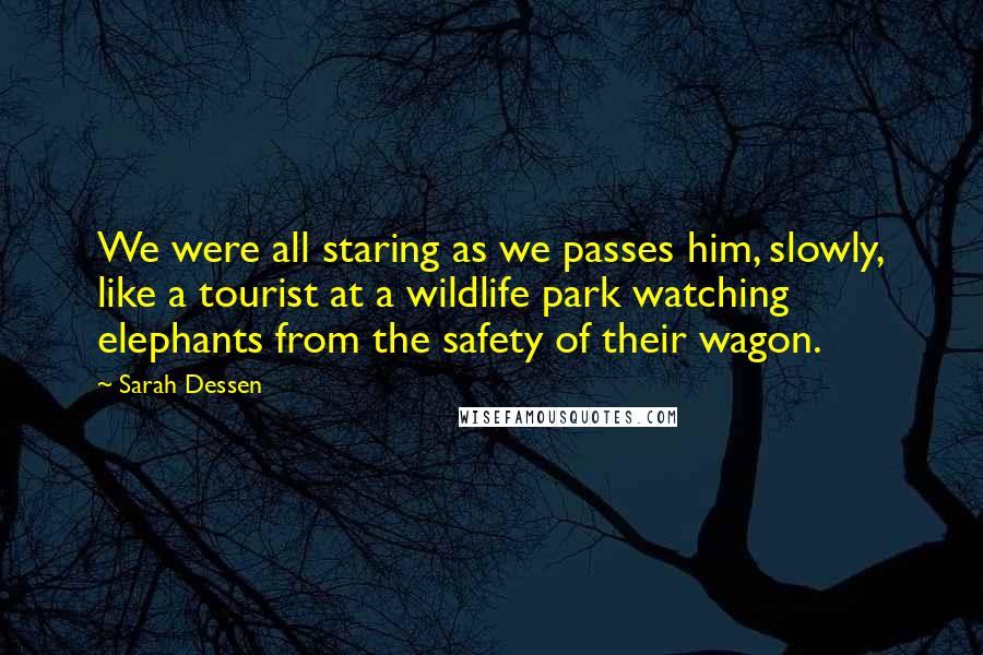 Sarah Dessen Quotes: We were all staring as we passes him, slowly, like a tourist at a wildlife park watching elephants from the safety of their wagon.
