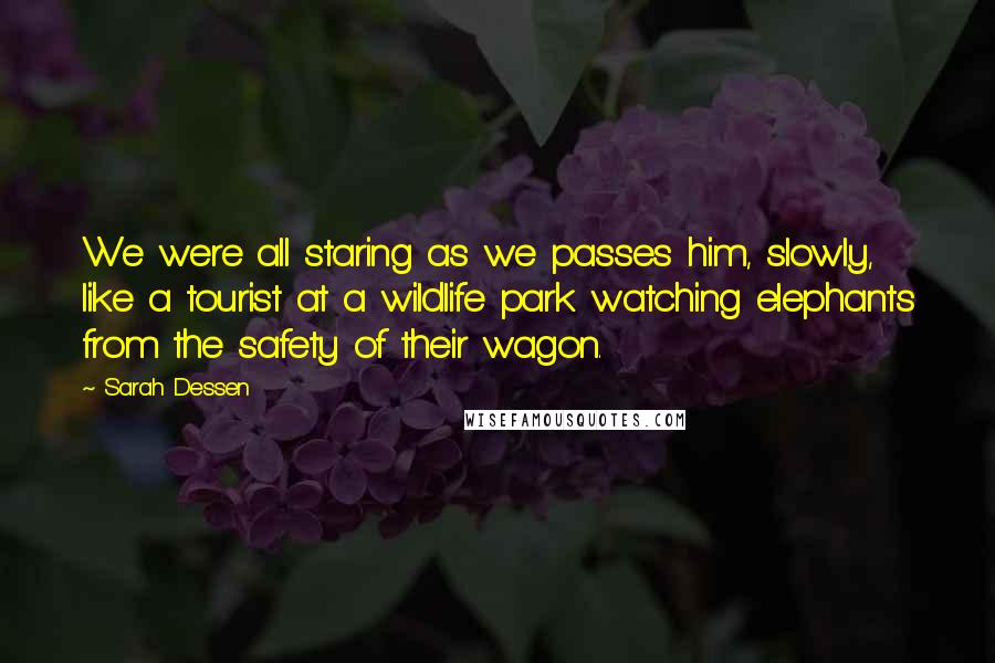 Sarah Dessen Quotes: We were all staring as we passes him, slowly, like a tourist at a wildlife park watching elephants from the safety of their wagon.