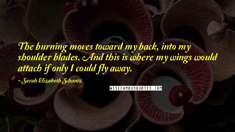 Sarah Elizabeth Schantz Quotes: The burning moves toward my back, into my shoulder blades. And this is where my wings would attach if only I could fly away.