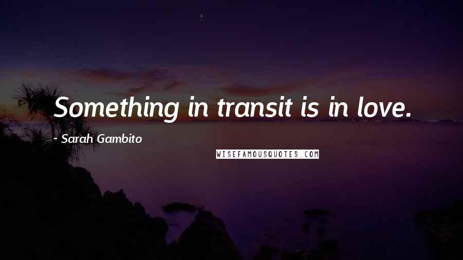 Sarah Gambito Quotes: Something in transit is in love.