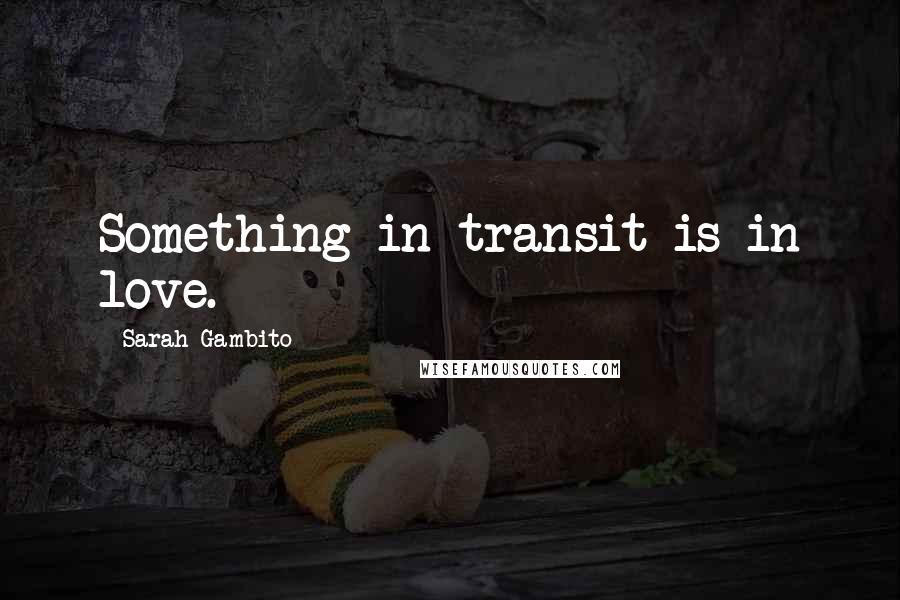 Sarah Gambito Quotes: Something in transit is in love.