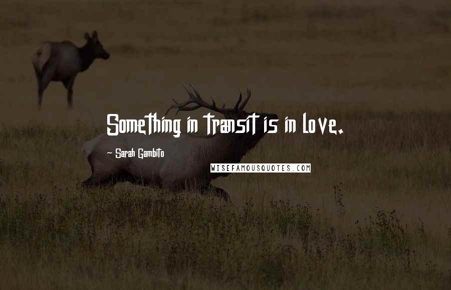 Sarah Gambito Quotes: Something in transit is in love.