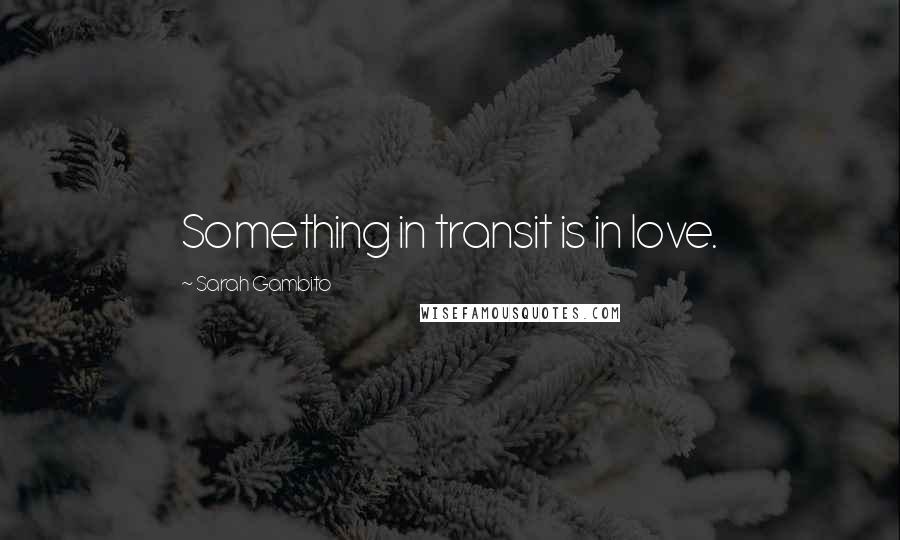 Sarah Gambito Quotes: Something in transit is in love.