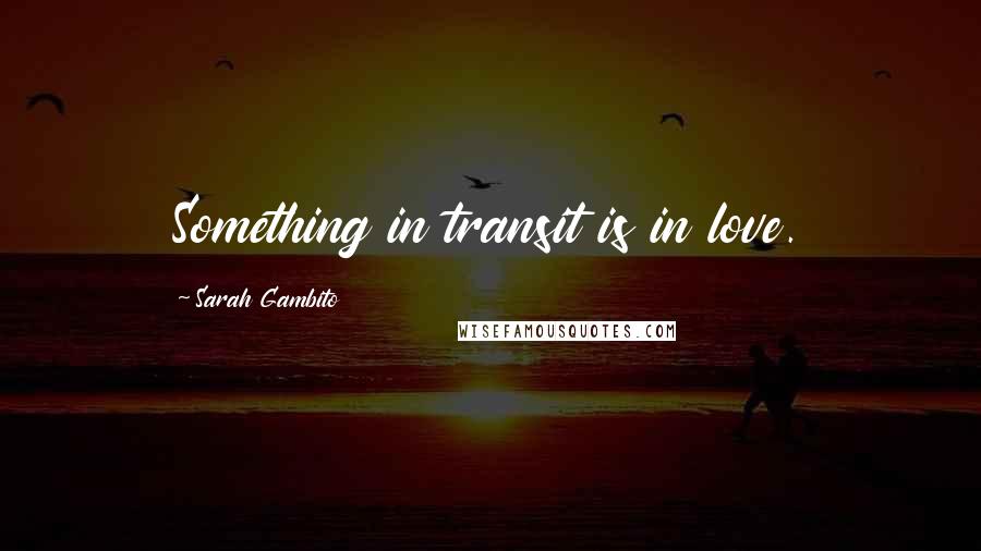 Sarah Gambito Quotes: Something in transit is in love.