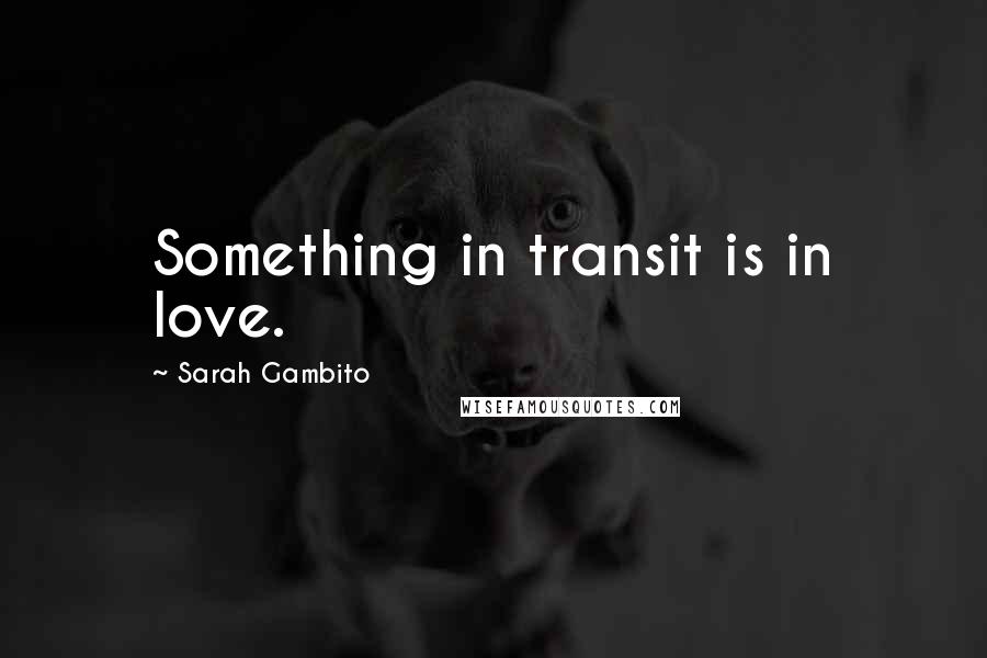 Sarah Gambito Quotes: Something in transit is in love.