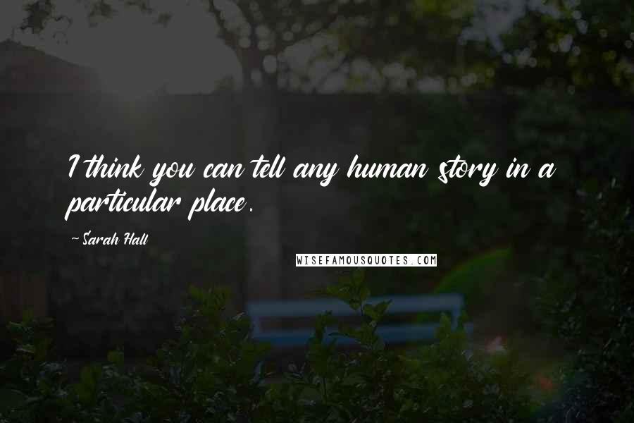 Sarah Hall Quotes: I think you can tell any human story in a particular place.