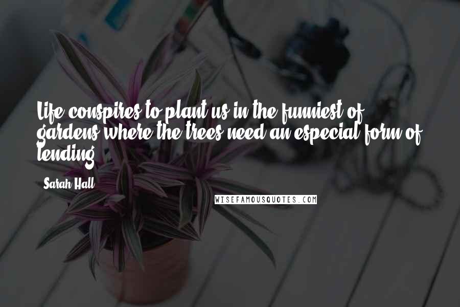 Sarah Hall Quotes: Life conspires to plant us in the funniest of gardens where the trees need an especial form of tending