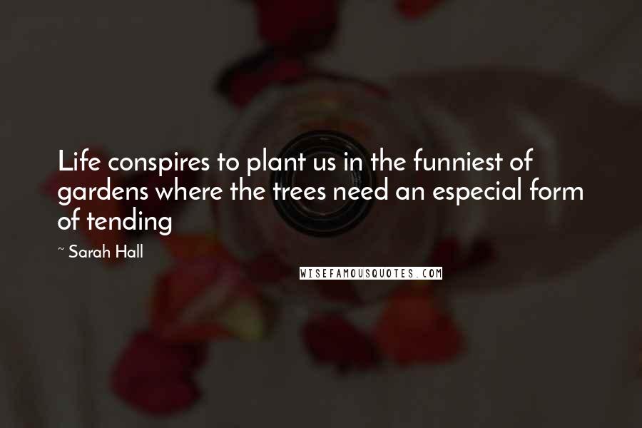 Sarah Hall Quotes: Life conspires to plant us in the funniest of gardens where the trees need an especial form of tending