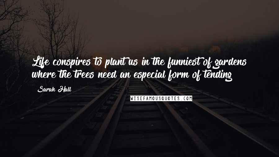Sarah Hall Quotes: Life conspires to plant us in the funniest of gardens where the trees need an especial form of tending