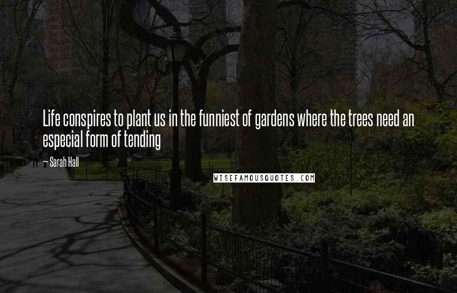 Sarah Hall Quotes: Life conspires to plant us in the funniest of gardens where the trees need an especial form of tending
