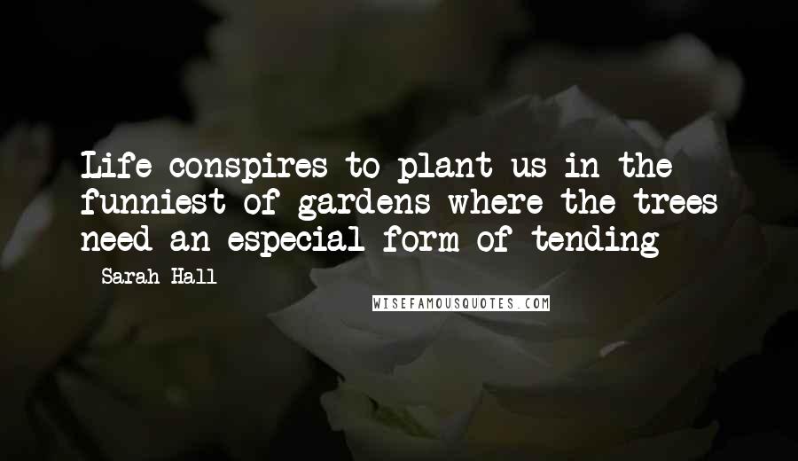 Sarah Hall Quotes: Life conspires to plant us in the funniest of gardens where the trees need an especial form of tending