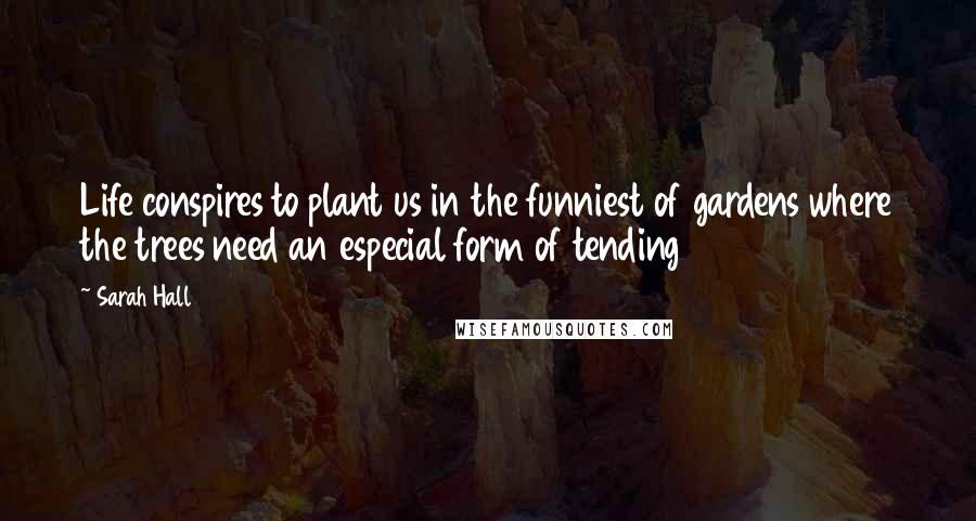 Sarah Hall Quotes: Life conspires to plant us in the funniest of gardens where the trees need an especial form of tending