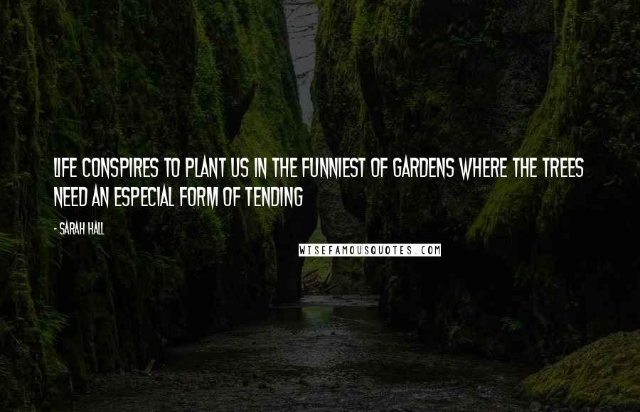 Sarah Hall Quotes: Life conspires to plant us in the funniest of gardens where the trees need an especial form of tending
