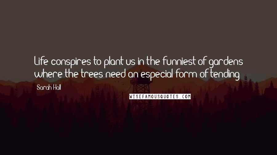 Sarah Hall Quotes: Life conspires to plant us in the funniest of gardens where the trees need an especial form of tending