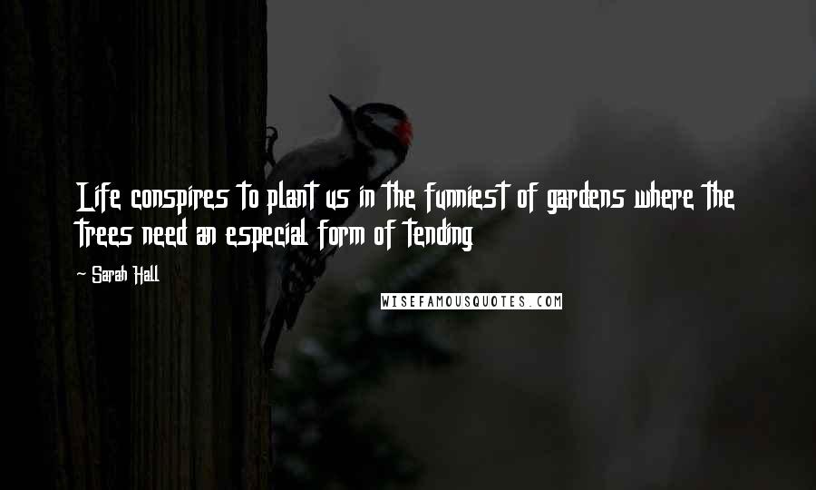 Sarah Hall Quotes: Life conspires to plant us in the funniest of gardens where the trees need an especial form of tending