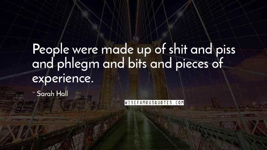 Sarah Hall Quotes: People were made up of shit and piss and phlegm and bits and pieces of experience.