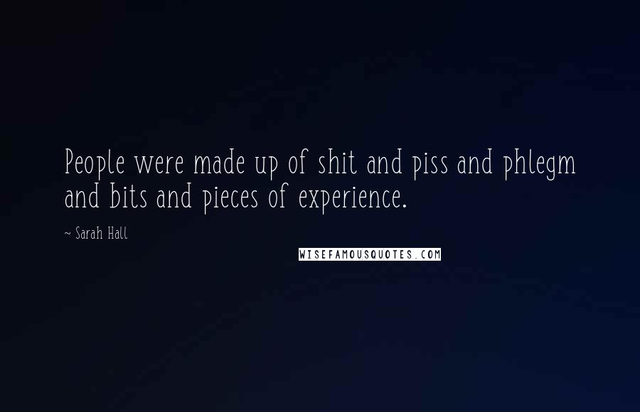 Sarah Hall Quotes: People were made up of shit and piss and phlegm and bits and pieces of experience.