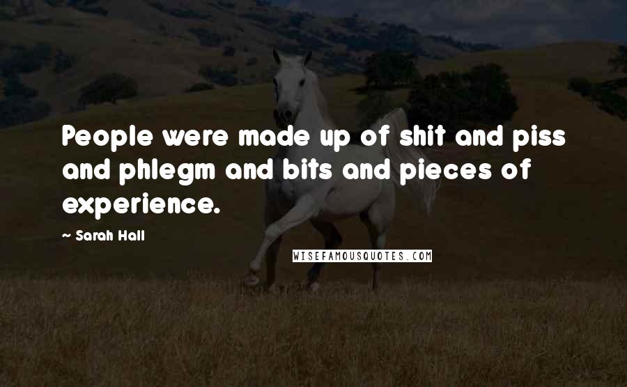 Sarah Hall Quotes: People were made up of shit and piss and phlegm and bits and pieces of experience.