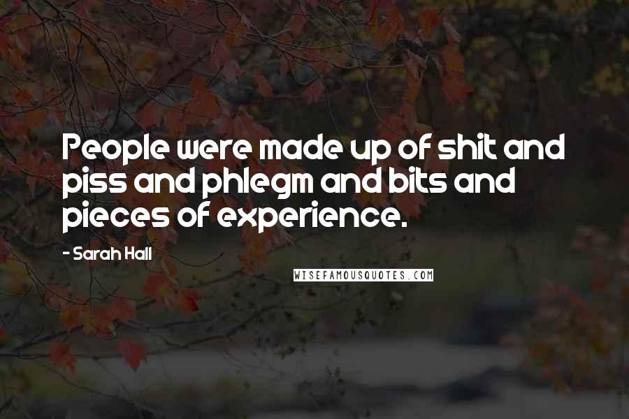 Sarah Hall Quotes: People were made up of shit and piss and phlegm and bits and pieces of experience.