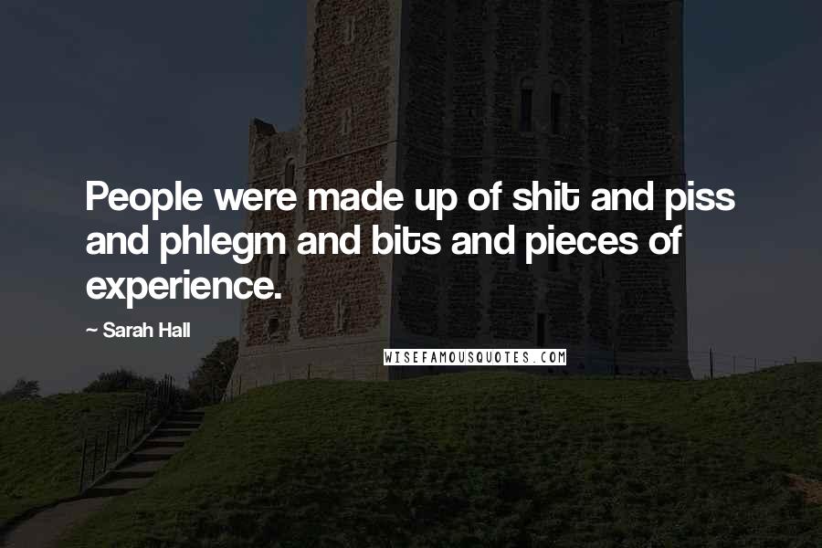 Sarah Hall Quotes: People were made up of shit and piss and phlegm and bits and pieces of experience.